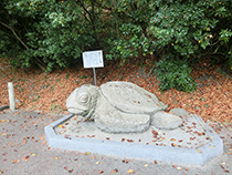 �T�V�R�W�]��