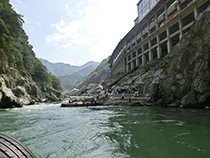 �����V���D