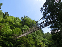 ���c�J�����狴2